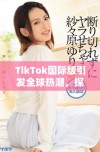 TikTok国际版引发全球热潮，探索短视频新时代的魅力