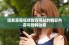 探索草莓视频官方网站的精彩内容与独特功能