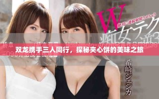 双龙携手三人同行，探秘夹心饼的美味之旅