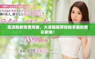 高清韩剧免费观看，大波姐姐带你畅享最新精彩剧集！