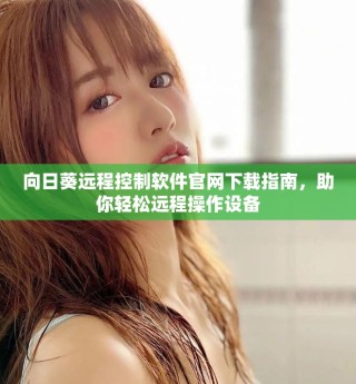 向日葵远程控制软件官网下载指南，助你轻松远程操作设备