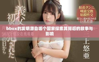 bbox的发明源自哪个国家探索其背后的故事与影响