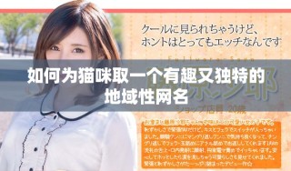 如何为猫咪取一个有趣又独特的地域性网名