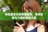 神龙重生归来再展雄风，寻求传奇与力量的冒险之旅