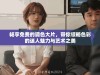 畅享免费的调色大片，带你领略色彩的迷人魅力与艺术之美