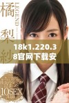 18k1.220.38官网下载安装步骤详解与常见问题解析