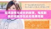 探寻亲情与成长的故事，电视剧我的姐姐尽在此处免费观看