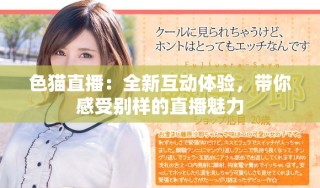 色猫直播：全新互动体验，带你感受别样的直播魅力