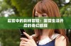后宫中的别样冒险：露营生活开启的奇幻旅程