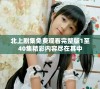 北上剧集免费观看完整版1至40集精彩内容尽在其中