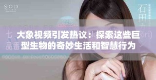 大象视频引发热议：探索这些巨型生物的奇妙生活和智慧行为