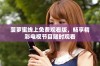 菠萝蜜线上免费观看版，畅享精彩电视节目随时观看