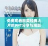免费观看欧美经典大片的PPT分享与观影指南