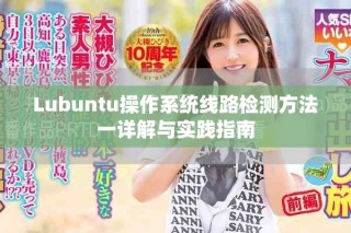 Lubuntu操作系统线路检测方法一详解与实践指南