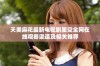 天美麻花最新电视剧星空全网在线观看渠道及相关推荐