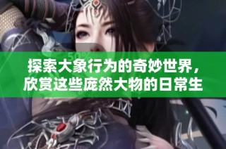 探索大象行为的奇妙世界，欣赏这些庞然大物的日常生活录像