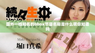 国外一档知名的bbox节目名称是什么呢你知道吗