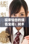 探索仙台的绿色宝藏：树木与自然的完美融合之旅