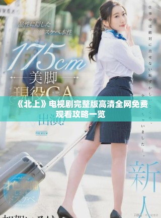 《北上》电视剧完整版高清全网免费观看攻略一览