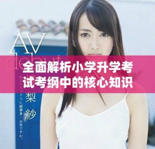 全面解析小学升学考试考纲中的核心知识点与备考技巧