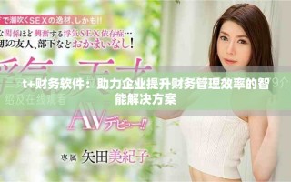 t+财务软件：助力企业提升财务管理效率的智能解决方案