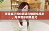 天美麻花带你高清在线看电视剧，尽享精彩剧集时光