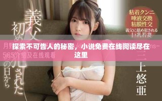 探索不可告人的秘密，小说免费在线阅读尽在这里