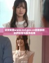 访问官网www.md.gov.cn获取最新政府信息与服务指南