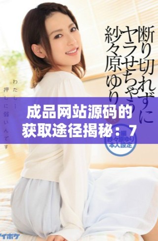 成品网站源码的获取途径揭秘：78w78的来源分析与探讨