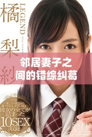 邻居妻子之间的错综纠葛续集全剧精彩回顾与分析