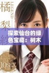 探索仙台的绿色宝藏：树木与自然的完美融合之旅