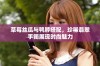 草莓丝瓜与鸭脖搭配，珍稀翡翠手镯展现时尚魅力