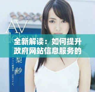 全新解读：如何提升政府网站信息服务的用户体验与效率