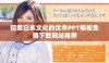 探索日本文化的优秀PPT模板免费下载网站推荐