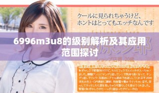 6996m3u8的级别解析及其应用范围探讨