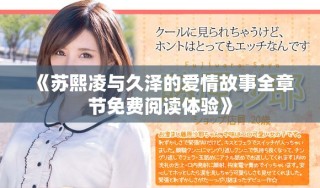《苏熙凌与久泽的爱情故事全章节免费阅读体验》