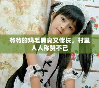爷爷的鸡毛黑亮又修长，村里人人称赞不已