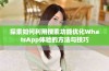探索如何利用搜索功能优化WhatsApp体验的方法与技巧