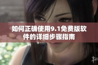 如何正确使用9.1免费版软件的详细步骤指南