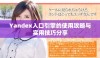 Yandex入口引擎的使用攻略与实用技巧分享