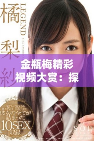 金瓶梅精彩视频大赏：探索古典文学的视觉魅力与深刻内涵