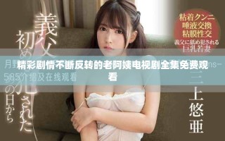 精彩剧情不断反转的老阿姨电视剧全集免费观看