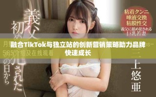 融合TikTok与独立站的创新营销策略助力品牌快速成长