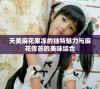 天美麻花果冻的独特魅力与麻花传苏的美味结合
