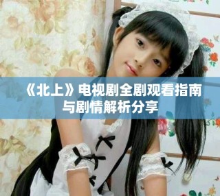《北上》电视剧全剧观看指南与剧情解析分享