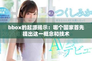 bbox的起源揭示：哪个国家首先提出这一概念和技术