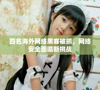 四名海外网络黑客被抓，网络安全面临新挑战