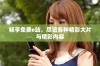 畅享免费e站，尽览各种精彩大片与精彩内容