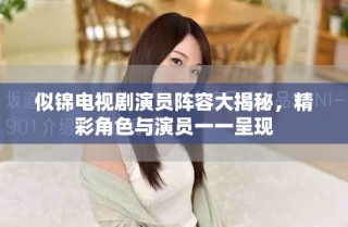 似锦电视剧演员阵容大揭秘，精彩角色与演员一一呈现