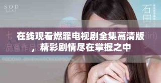 在线观看燃罪电视剧全集高清版，精彩剧情尽在掌握之中